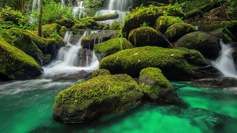 Forest small waterfall with mossy rocks